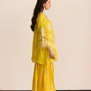 ONT 383 - SET - MANGO