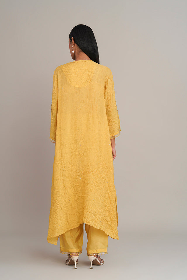 ONT 488 SET - DAFFODIL