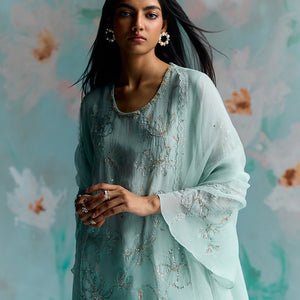 ONT 489 SET - OPAL