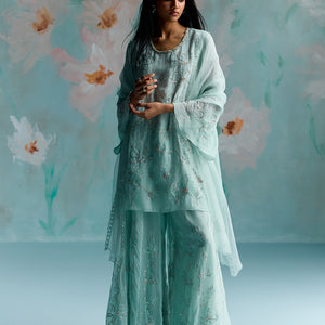 ONT 489 SET - OPAL