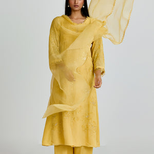 ONT D98 - DAFFODIL