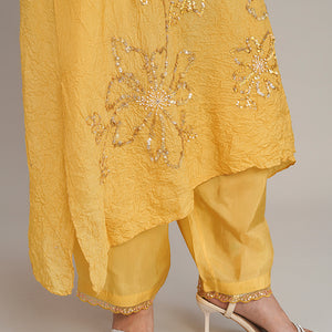 ONT 488 SET - DAFFODIL