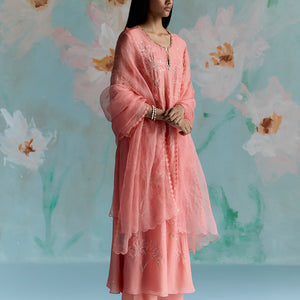 ONT 490 SET - SORBET