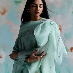 ONT 489 SET - OPAL
