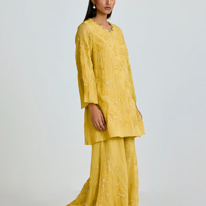 ONT 489 SET - DAFFODIL
