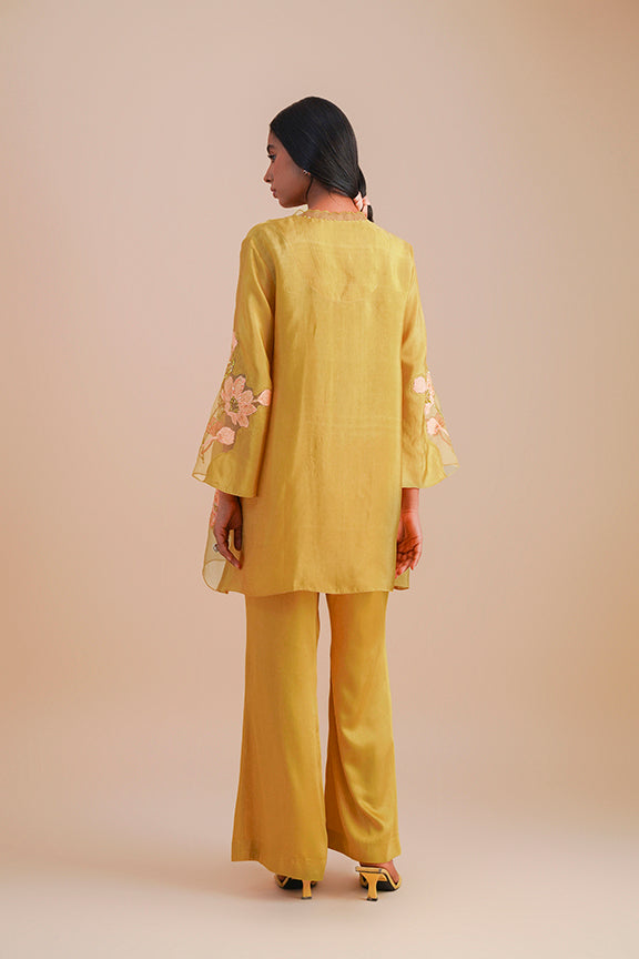 ONT 481 SET - DAFFODIL