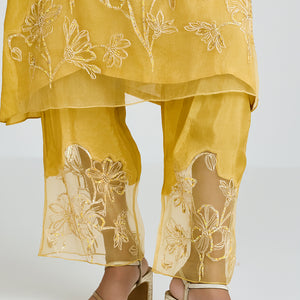 ONT 491 SET - DAFFODIL