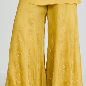 ONT 489 SET - DAFFODIL