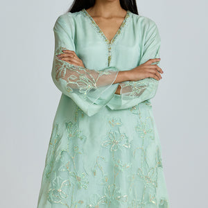 ONT 491 SET - OPAL