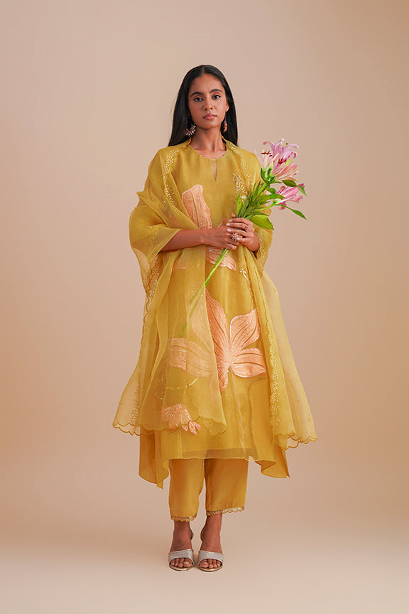 ONT 486 SET - DAFFODIL