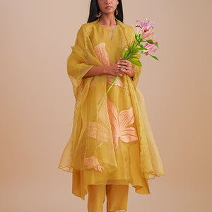 ONT 486 SET - DAFFODIL