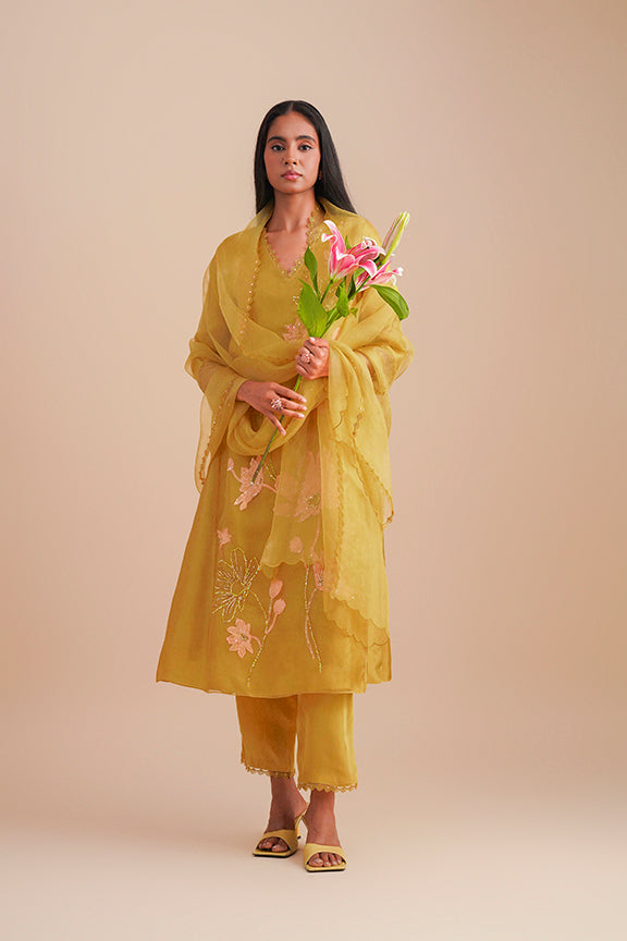 ONT 479 SET - DAFFODIL