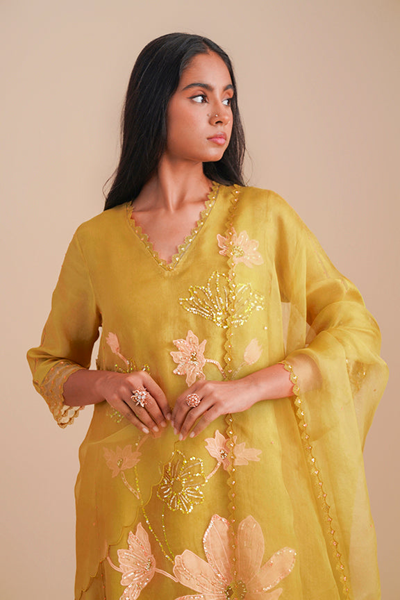 ONT D92 - DAFFODIL