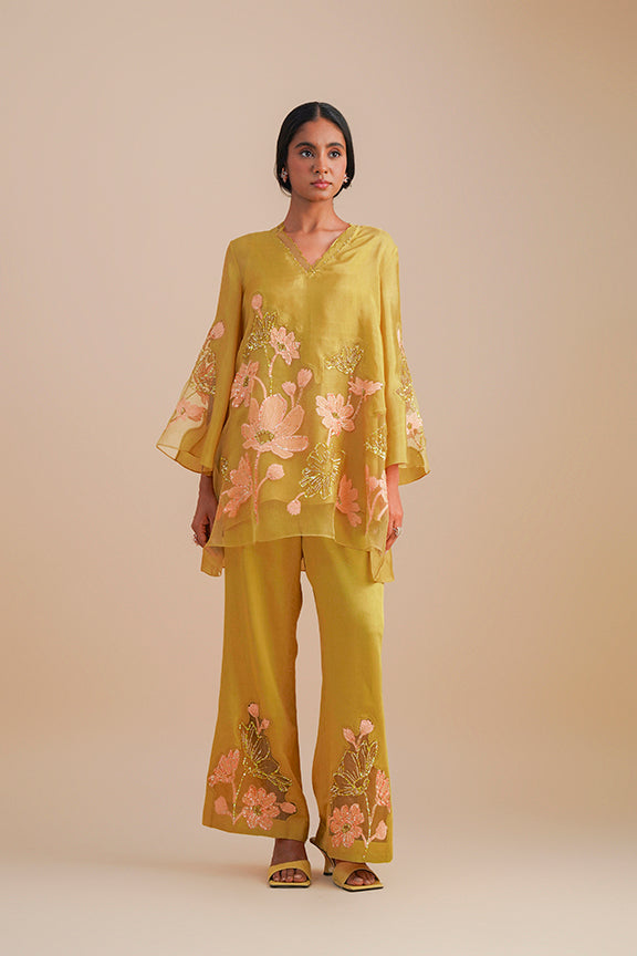 ONT 481 SET - DAFFODIL