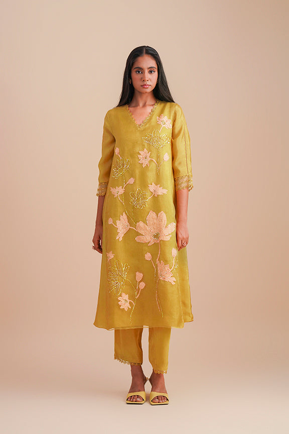 ONT 479 SET - DAFFODIL