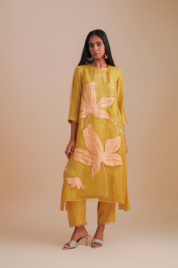 ONT 486 SET - DAFFODIL