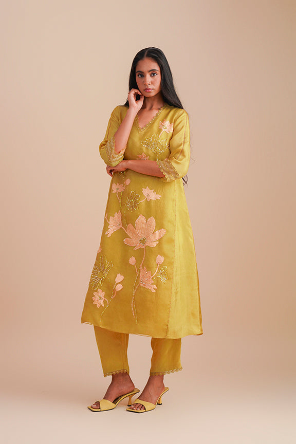ONT 479 SET - DAFFODIL
