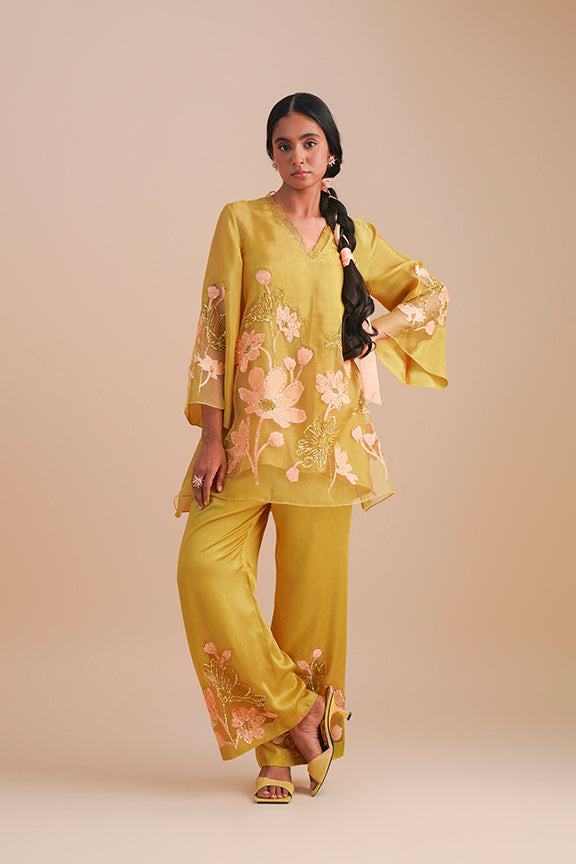 ONT 481 SET - DAFFODIL