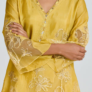 ONT 491 SET - DAFFODIL