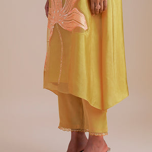 ONT 486 SET - DAFFODIL