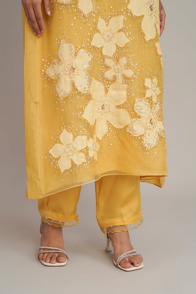 ONT 386 SET - DAFFODIL
