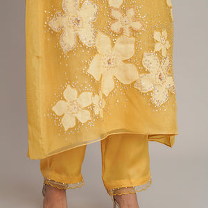 ONT 386 SET - DAFFODIL