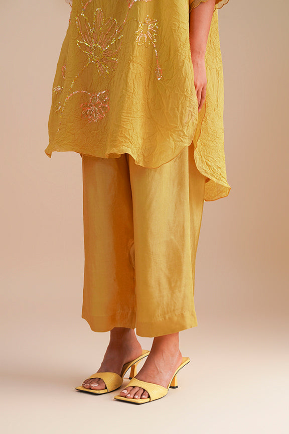 ONT 480 SET - DAFFODIL