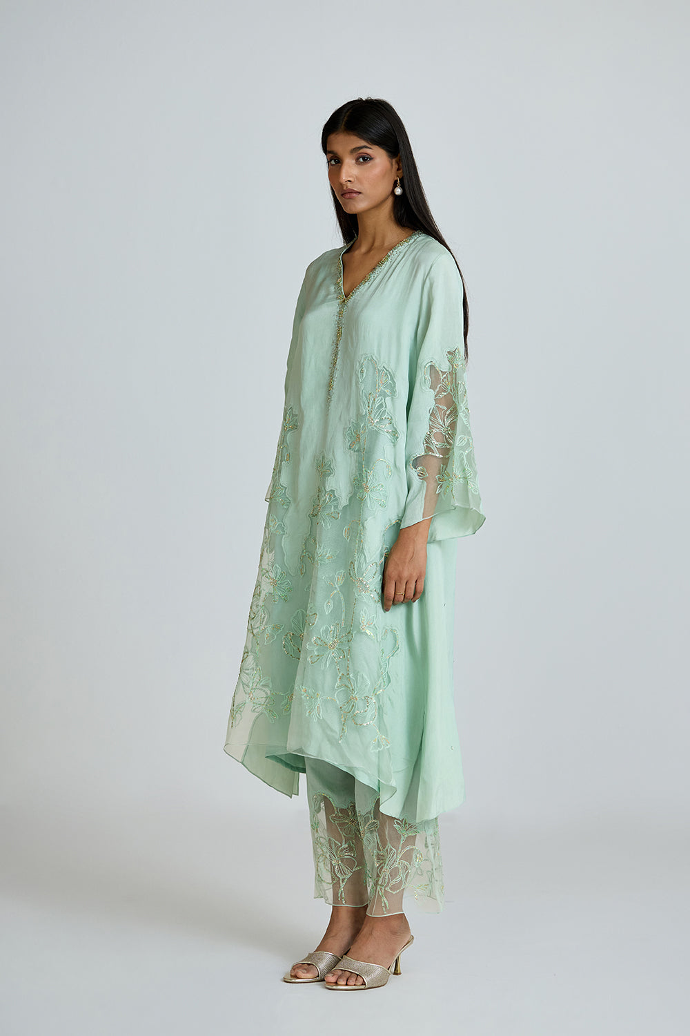 ONT 491 SET - OPAL