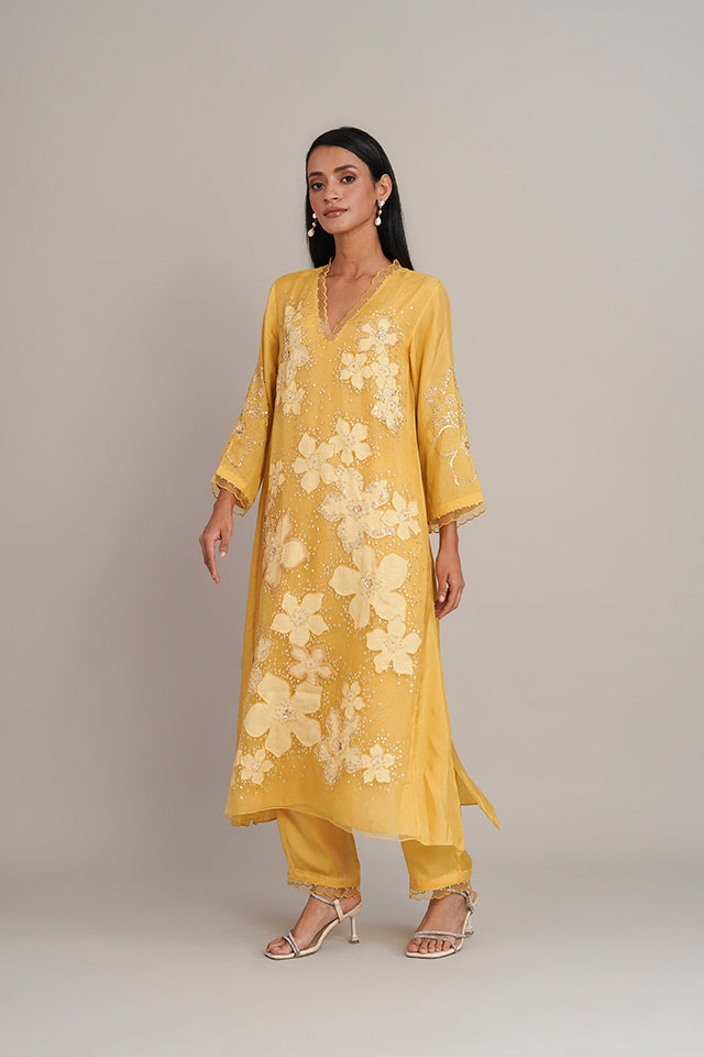 ONT 386 SET - DAFFODIL