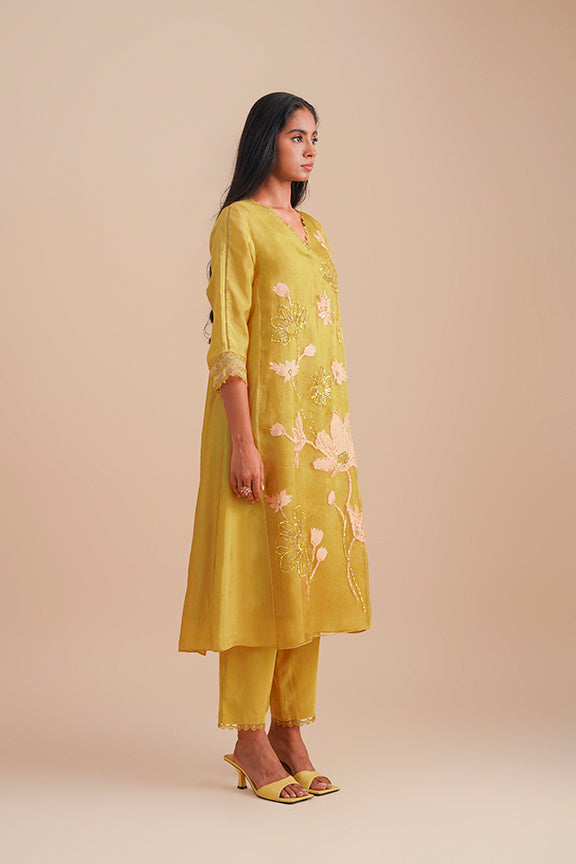 ONT 479 SET - DAFFODIL
