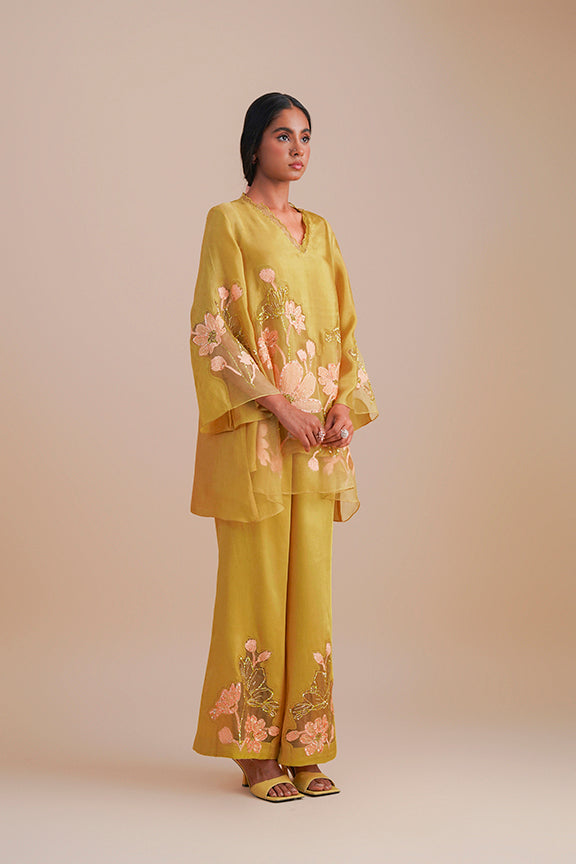 ONT 481 SET - DAFFODIL