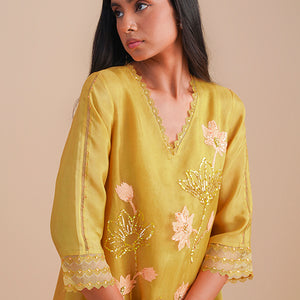 ONT 479 SET - DAFFODIL